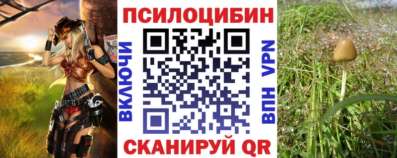 Псилоцибиновые грибы GOLDEN TEACHER  Рославль 